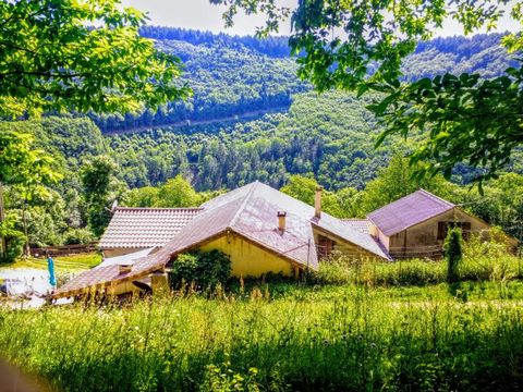 Située dans le département de l'AUDE dans un cadre sauvage proche des commodités L'équipe Megagence vous propose ce domaine de chasse privée sur 40 hectares avec plusieurs sources . La maison d'habitation principale entièrement rénovée de 78m² compre...