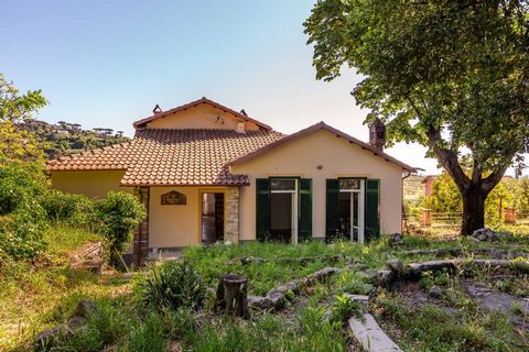 Marino - We are pleased to offer for sale in the heart of Marino, an exclusive single-family villa from the early twentieth century, recently renovated and in energy class A3. The property of approximately 250m2 is immersed in a magnificent garden ad...