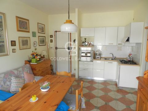 Santa Marinella, Castelsecco area, an apartment on the 2nd floor with elevator is for sale, consisting of a living room with kitchenette, hallway, bedroom, small bedroom and bathroom with shower. Two habitable balconies that can be accessed from the ...