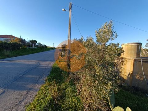 Grundstück mit 1.760 m2, Poço dos Peixes, Gemeinde Azinhal - Castro Marim - Algarve. Möglichkeit des Baus. Zufahrt über geteerte Straße. Guter Zugang. Ganz in der Nähe des Dorfes Azinhal. Mit Wasser und Strom, öffentliche Sanitäranlagen. Liegt 20 km ...