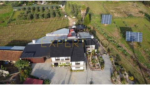 Farm with 4 bedroom villa, annexes, leisure area, vineyards on 19,000m2 of land in Bairrada Expertimo presents this dream farm in the Bairrada region, with views of the Serra do Bussaco, inserted in a stunning space close to nature. Explore the rural...