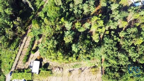 Localizado numa zona tranquila e de fácil acesso, este terreno encontra-se junto ao belíssimo Rio Neiva, proporcionando um ambiente natural e sereno, ideal para quem procura qualidade de vida em contato com a natureza. Tem como vantagem o facto de es...