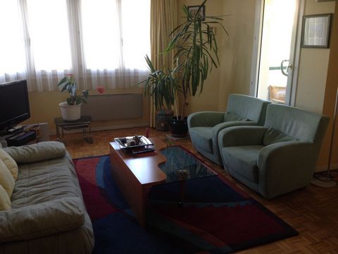 photo no. 6
