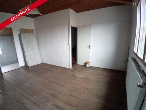 photo no. 3
