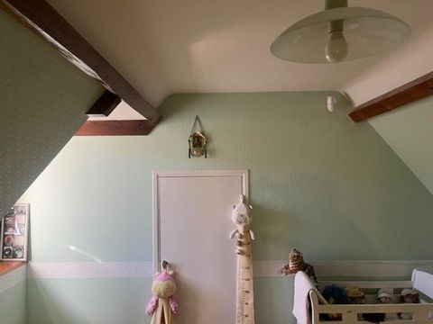photo no. 16