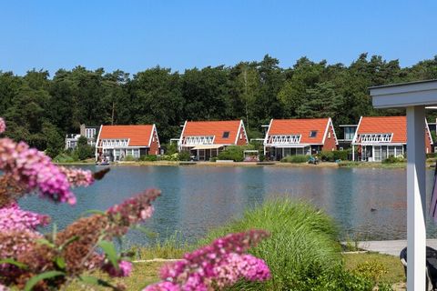Dit moderne chalet ligt op het ruim opgezette vakantiepark Resort De Zanding, omringd door natuurgebieden, waaronder het Nationale Park De Hoge Veluwe, op 19 km. ten noordwesten van de gezellige stad Arnhem. Het kleinschalige centrum van Otterlo ligt...