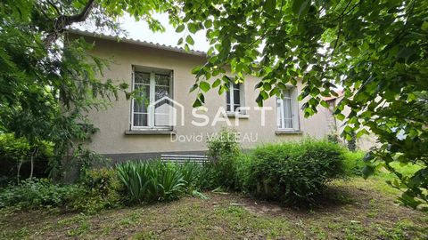 photo no. 2