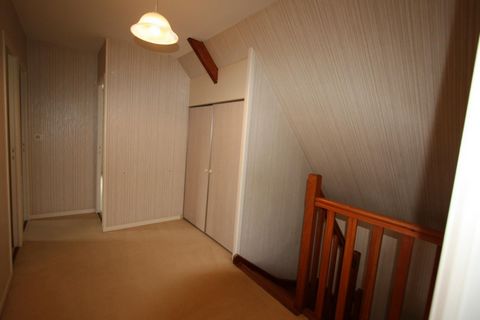 photo no. 6