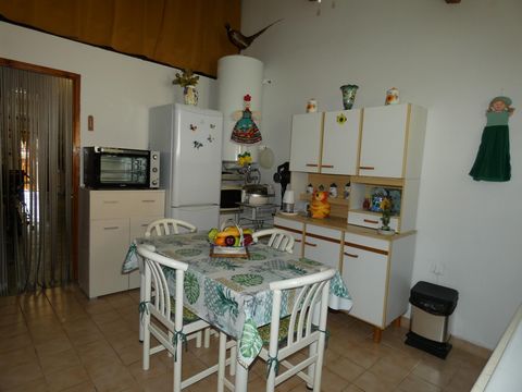 photo no. 10
