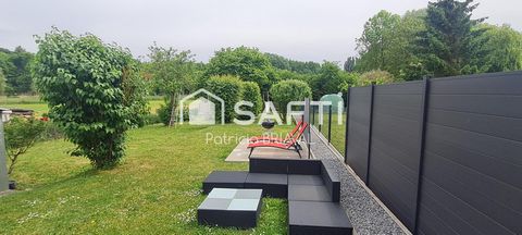 photo no. 7