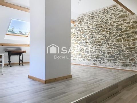 photo no. 15