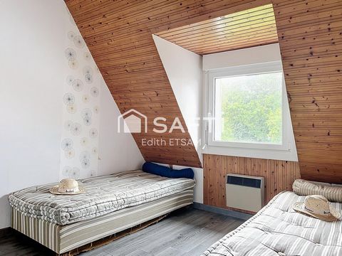 photo no. 11