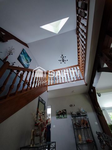 photo no. 12