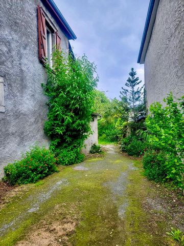 photo no. 10
