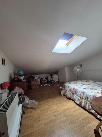 photo no. 10