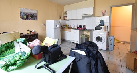 photo no. 2