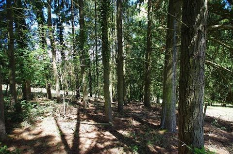 Terrain de loisirs boisé d'un peu plus de 2600 m² avec compteur d'eau. En partie clôturé avec un passage busé pour entrer un véhicule. Idéal pour se ressourcer, aucun vis à vis, seulement une agréable vue sur les champs et la forêt. N'hésitez plus et...