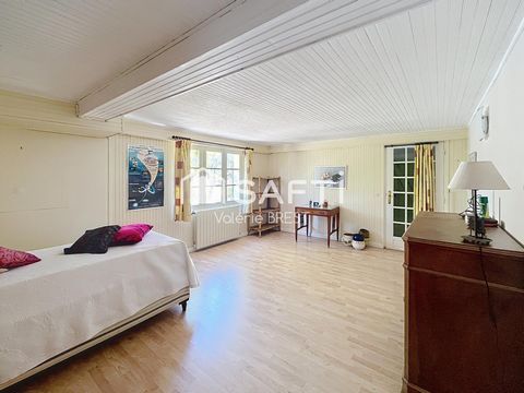 photo no. 14