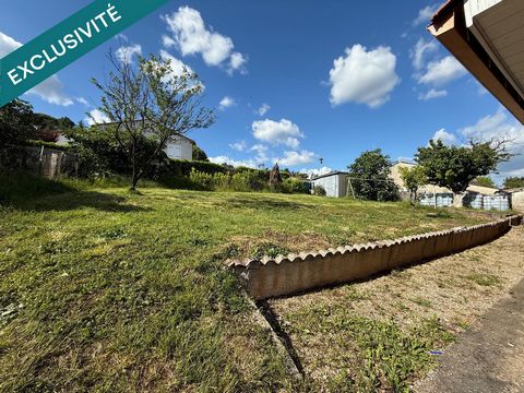 photo no. 10
