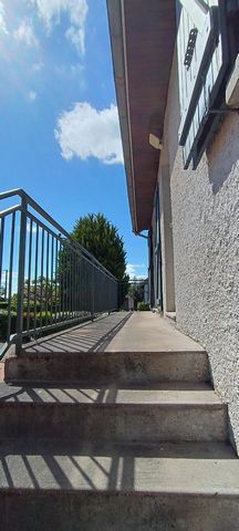 photo no. 11
