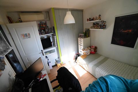 photo no. 8