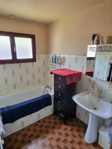 photo no. 13