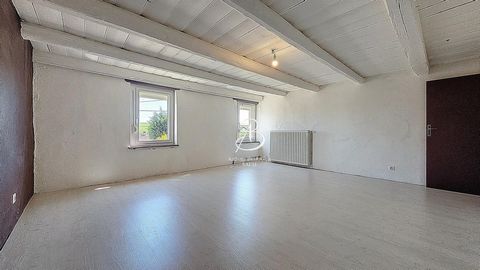 photo no. 13