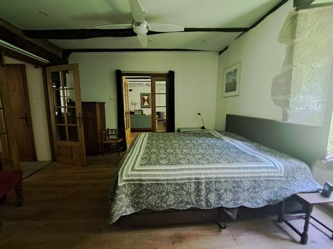 photo no. 12
