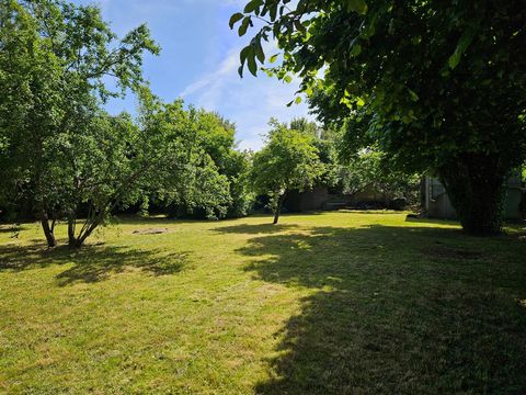 photo no. 9