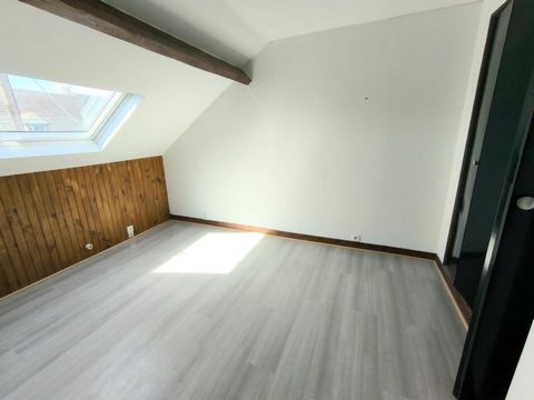 photo no. 4