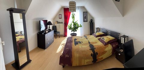 photo no. 12