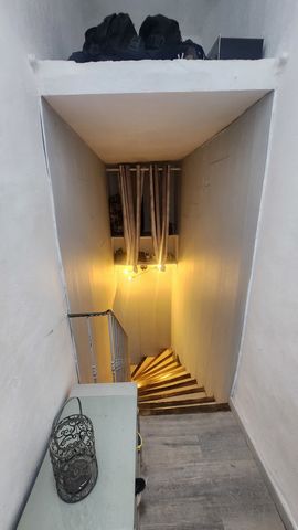 photo no. 10