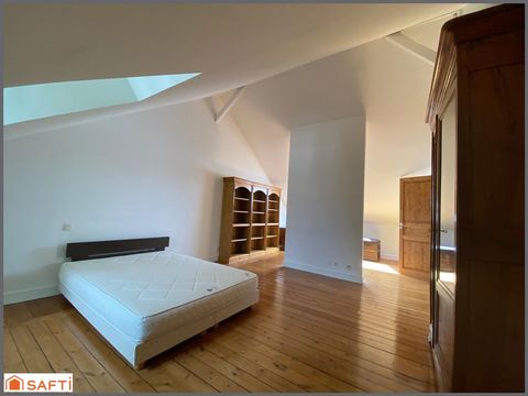 photo no. 7