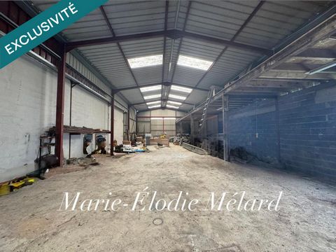 Hangar de 239 m² sur 28 ares à Mangiennes