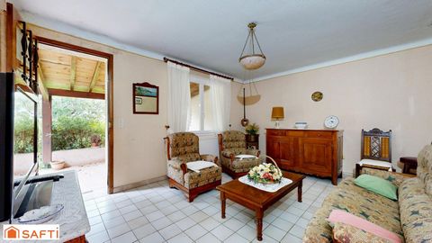 photo no. 11
