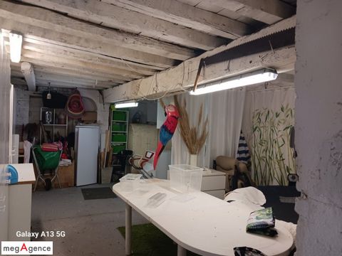 photo no. 11