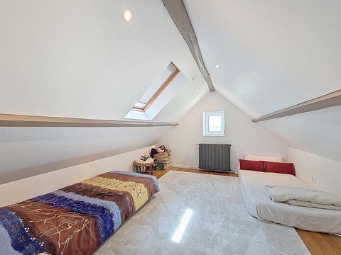 photo no. 13