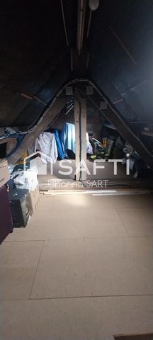 photo no. 11