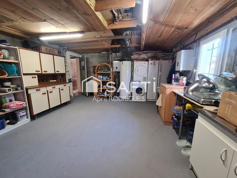 photo no. 16