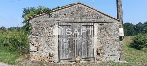 photo no. 15