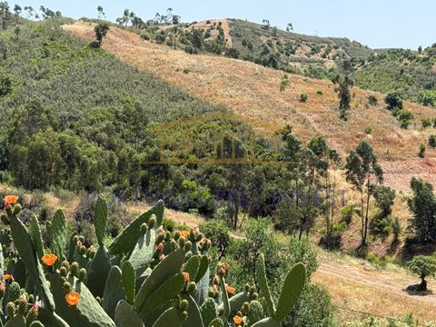 Imagine um lugar onde a serenidade da natureza se funde com a conveniência de uma localização estratégica. Apresentamos um terreno misto com uma área total de 40 710 m², um verdadeiro refúgio de espaço e possibilidades na encantadora região de Montes...