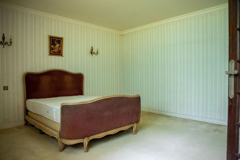 photo no. 6