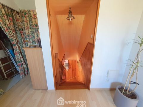 photo no. 11