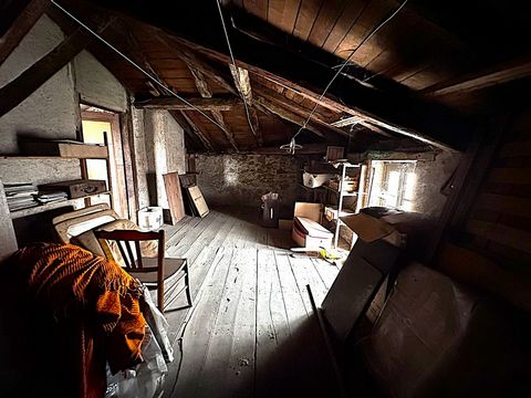 photo no. 10