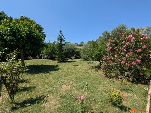 photo no. 12