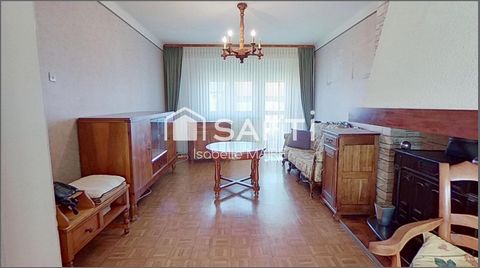 photo no. 12