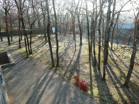photo no. 34