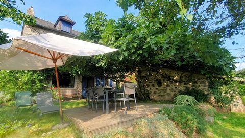 photo no. 11