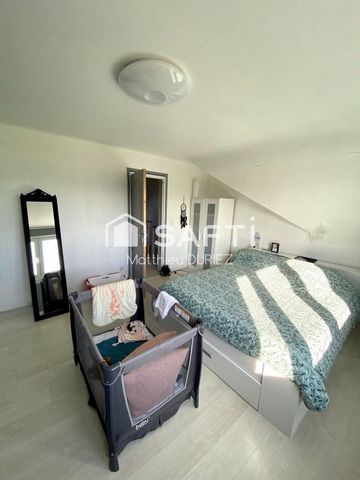 photo no. 12