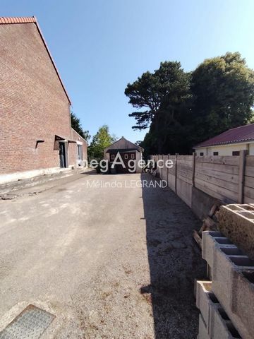 photo no. 5